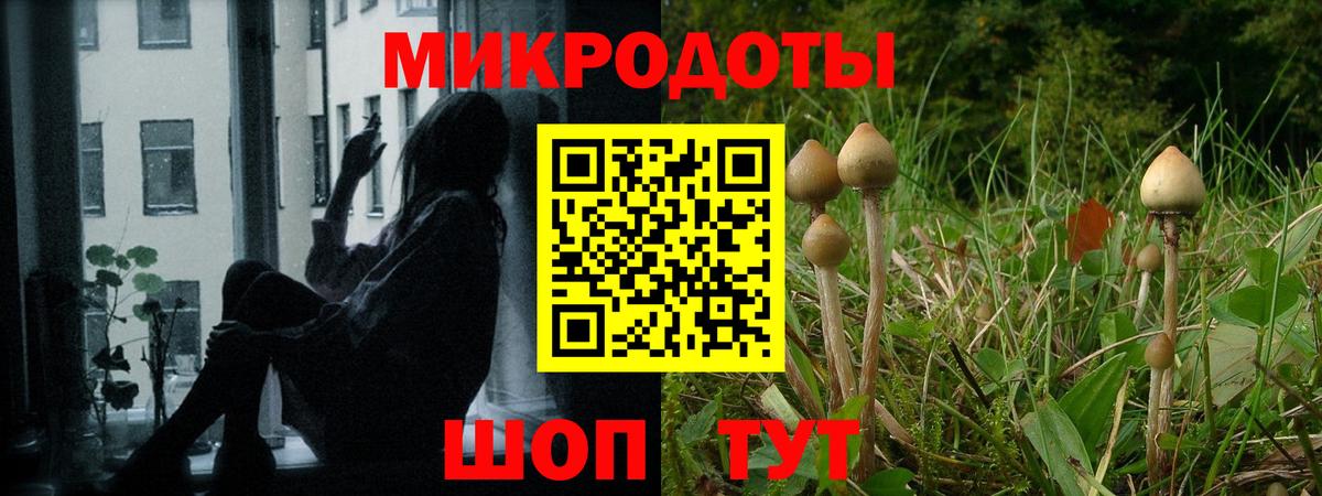 Галлюциногенные грибы MAGIC MUSHROOMS Южно-Сахалинск